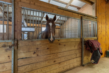 Equestrian Farm With Acreage For Sale in Knox County Ohio - image 44