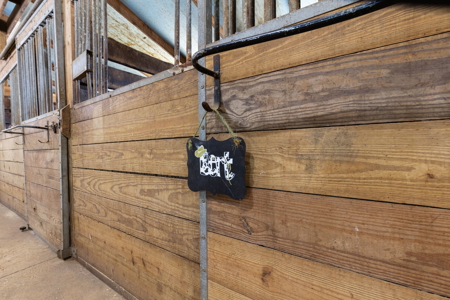 Equestrian Farm With Acreage For Sale in Knox County Ohio - image 37