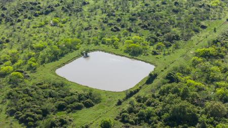 Ultimate South Texas Sportsman’s Ranch - image 4