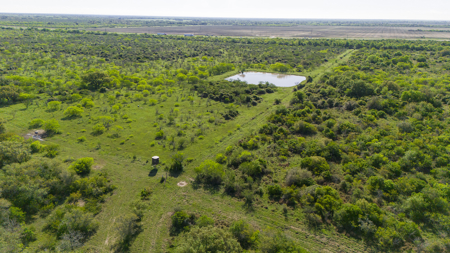 Ultimate South Texas Sportsman’s Ranch - image 5