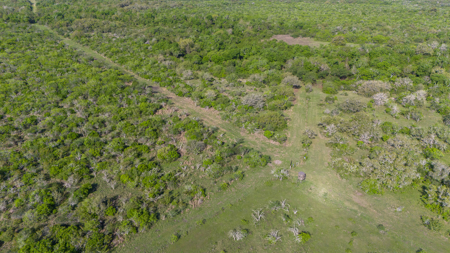 Ultimate South Texas Sportsman’s Ranch - image 13