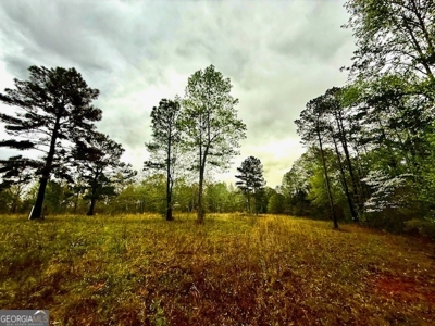 922 Shoemake Road, Carrollton GA - image 17