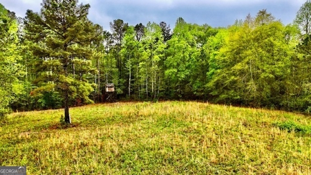 922 Shoemake Road, Carrollton GA - image 4