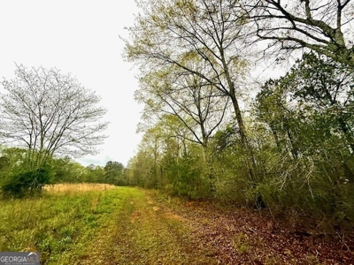 922 Shoemake Road, Carrollton GA - image 19