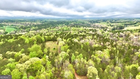 922 Shoemake Road, Carrollton GA - image 13