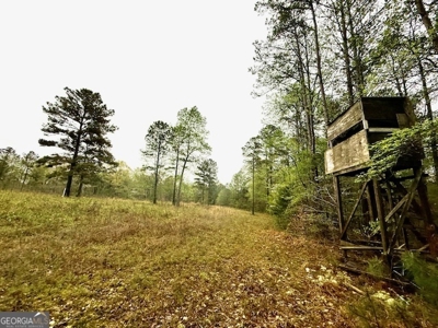 922 Shoemake Road, Carrollton GA - image 20