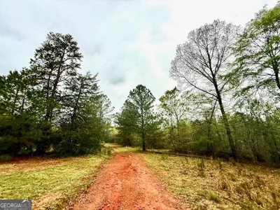 922 Shoemake Road, Carrollton GA - image 23