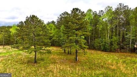922 Shoemake Road, Carrollton GA - image 5
