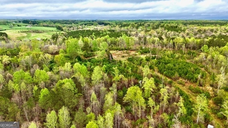 922 Shoemake Road, Carrollton GA - image 12
