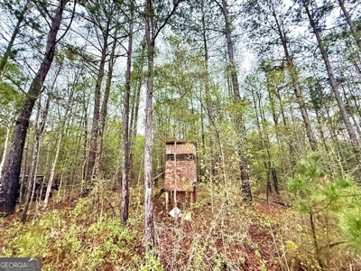 922 Shoemake Road, Carrollton GA - image 24