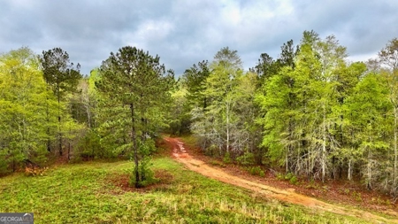 922 Shoemake Road, Carrollton GA - image 3