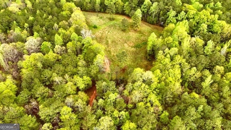 922 Shoemake Road, Carrollton GA - image 10