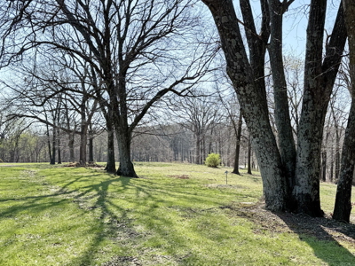 St. Clair County Missouri Country Home Near Osage River For Sale - image 46