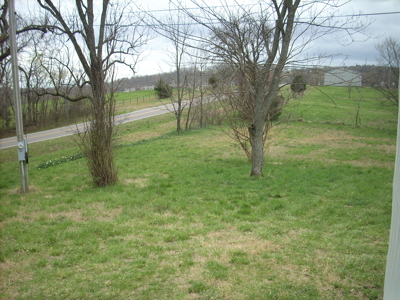 Move-In Ready Country Home on 3 Acres - Ozark County, MO - image 13