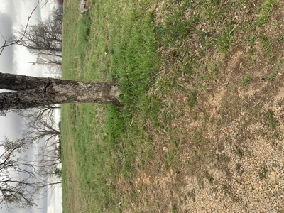 Move-In Ready Country Home on 3 Acres - Ozark County, MO - image 30