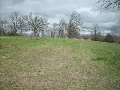 Move-In Ready Country Home on 3 Acres - Ozark County, MO - image 2