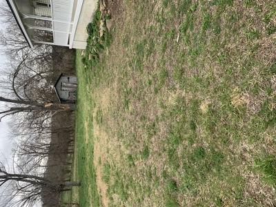 Move-In Ready Country Home on 3 Acres - Ozark County, MO - image 32