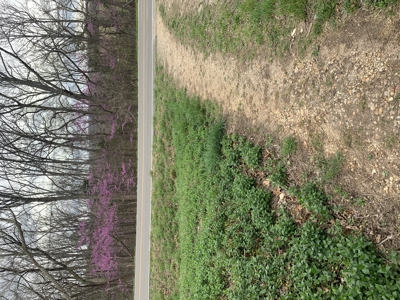 Move-In Ready Country Home on 3 Acres - Ozark County, MO - image 27