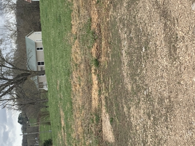 Move-In Ready Country Home on 3 Acres - Ozark County, MO - image 19