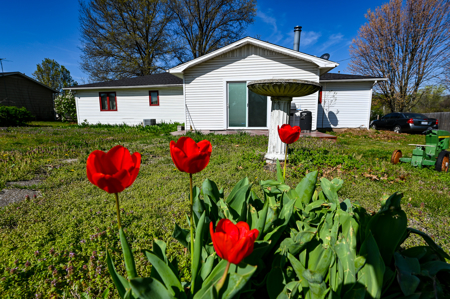 Home For Sale Carthage Missouri - image 6