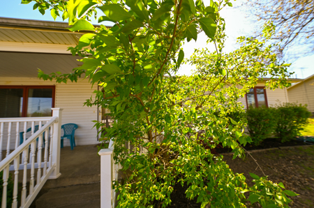 Home For Sale Carthage Missouri - image 10