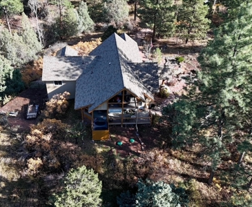 Luxury Black Lake Home with Lake Access Ridgway and Ouray - image 30