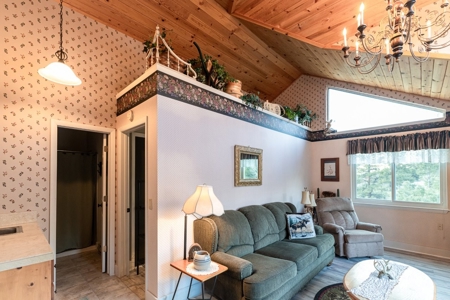 Luxury Black Lake Home with Lake Access Ridgway and Ouray - image 18