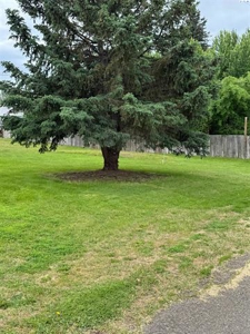 1972 Split Level 3 bed, 2 bath Home For Sale In La Crosse, WA - image 27