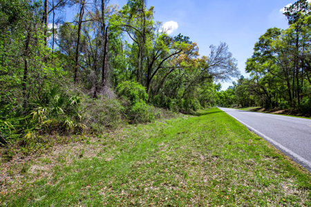 1.38 Acre Residential Lot on CR 349 in Live Oak! - image 4