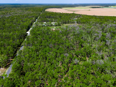 1.38 Acre Residential Lot on CR 349 in Live Oak! - image 5