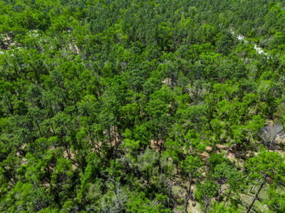 1.38 Acre Residential Lot on CR 349 in Live Oak! - image 11