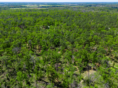 1.38 Acre Residential Lot on CR 349 in Live Oak! - image 8