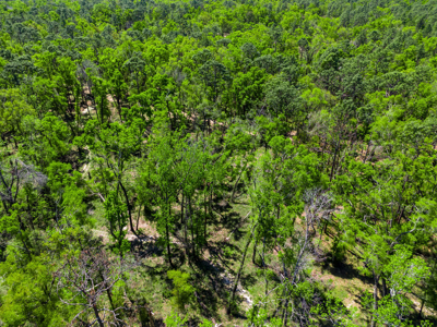 1.38 Acre Residential Lot on CR 349 in Live Oak! - image 9