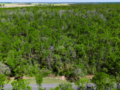 1.38 Acre Residential Lot on CR 349 in Live Oak! - image 10