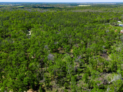 1.38 Acre Residential Lot on CR 349 in Live Oak! - image 7