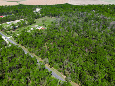 1.38 Acre Residential Lot on CR 349 in Live Oak! - image 12