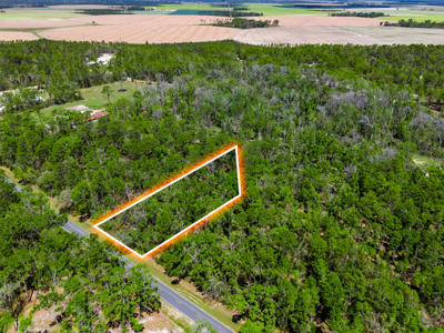 1.38 Acre Residential Lot on CR 349 in Live Oak! - image 1