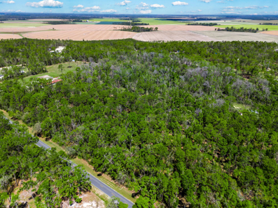 1.38 Acre Residential Lot on CR 349 in Live Oak! - image 3