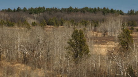 Nearly 1,000-acre Landholding for Sale in Wisconsin - image 31