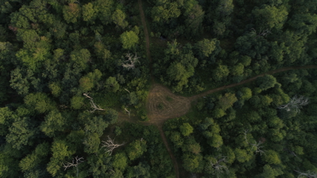 Nearly 1,000-acre Landholding for Sale in Wisconsin - image 15
