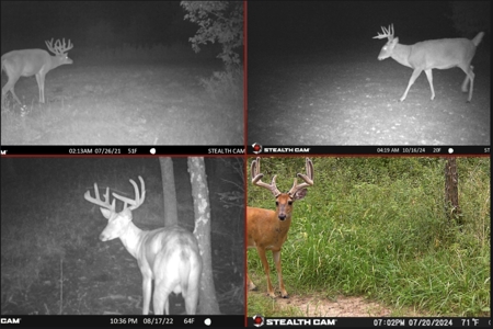 Nearly 1,000-acre Landholding for Sale in Wisconsin - image 39