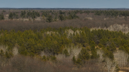 Nearly 1,000-acre Landholding for Sale in Wisconsin - image 32