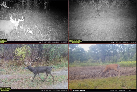 Nearly 1,000-acre Landholding for Sale in Wisconsin - image 19