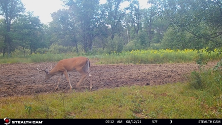 Nearly 1,000-acre Landholding for Sale in Wisconsin - image 22