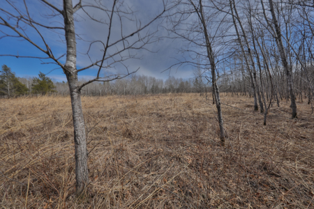 Nearly 1,000-acre Landholding for Sale in Wisconsin - image 36