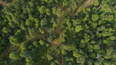 Nearly 1,000-acre Landholding for Sale in Wisconsin - image 30