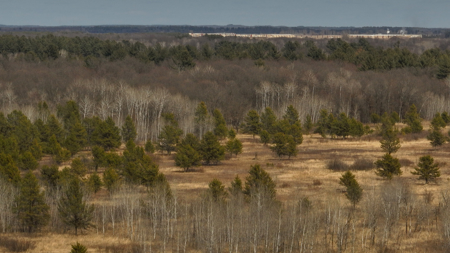 Nearly 1,000-acre Landholding for Sale in Wisconsin - image 33