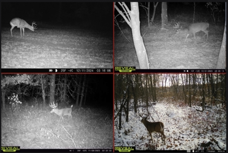 Nearly 1,000-acre Landholding for Sale in Wisconsin - image 18