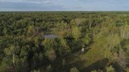 Nearly 1,000-acre Landholding for Sale in Wisconsin - image 20