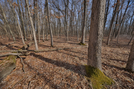 Nearly 1,000-acre Landholding for Sale in Wisconsin - image 25